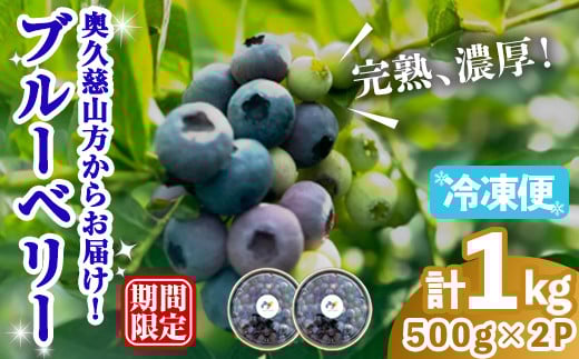 冷凍ブルーベリー1kg ブルーベリー 果物 フルーツ 青果物 冷凍 スムージー ヨーグルト おやつ 【奥久慈 まほろばの郷 ふれあい農園】【ho1524】