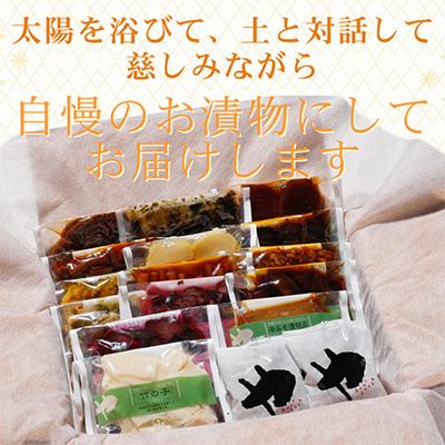 ふるさと納税 亀岡市 日持ちのする京漬物・古漬16種類17品詰め合わせ |  | 01