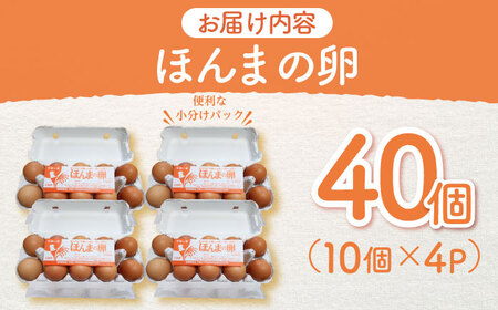 平飼いニワトリの有精卵！ほんまの卵 40個（10個×4パック） / 佐賀県 / 本間農園 [41AJAA003]