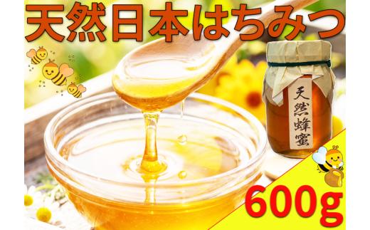 はちみつ 国産 日本はちみつ 600g 日本みつばち 和 蜂蜜 蜜蜂 みつばち 天然はちみつ ハニー 美容 健康 栄養豊富 コーヒー 紅茶 レモン ミルク ジンジャー スイーツ ヨーグルト パンケーキ トースト 保存食 菓子 産地直送 徳島県 三好市 みよし