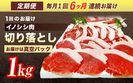 【6回定期便】天然イノシシ肉 切り落とし1kg（ぼたん鍋・煮込料理・野菜炒め用等） / ジビエ 猪肉 いのしし肉 ジビエ肉 肉じゃが用肉 イノシシ いのしし焼肉 長崎ジビエ 猪 ぼたん鍋 鍋肉 猪鍋 