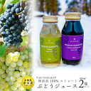 【ふるさと納税】無添加 100％ストレート ぶどうジュース 180ml カベルネ・ナイアガラ 各1本 安芸農園 ジュース ギフト 北海道産 夏 夏ギフト 北海道 余市町 送料無料