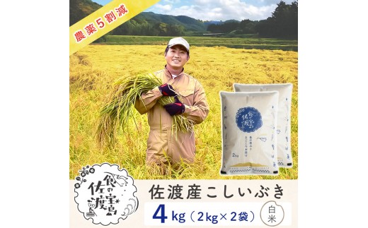 【新米予約】佐渡島産こしいぶき 白米4Kg（2Kg×2袋） 令和7年 ～農薬5割減～ 農家直送