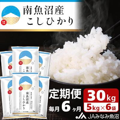 ふるさと納税 南魚沼市 【毎月定期便】南魚沼産こしひかり 精米 30kg(5kg×6袋) 全6回