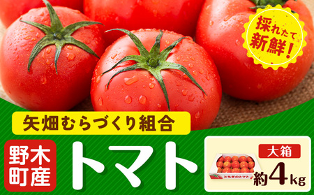 トマト約4kg大箱《10月上旬-6月下旬頃出荷》トマト野菜新鮮