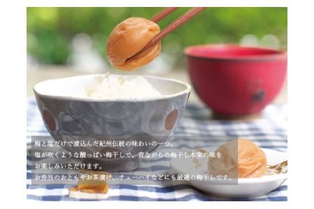 梅干し 食べ比べセット 500g×2（はちみつ・白干）【inm900-6B】