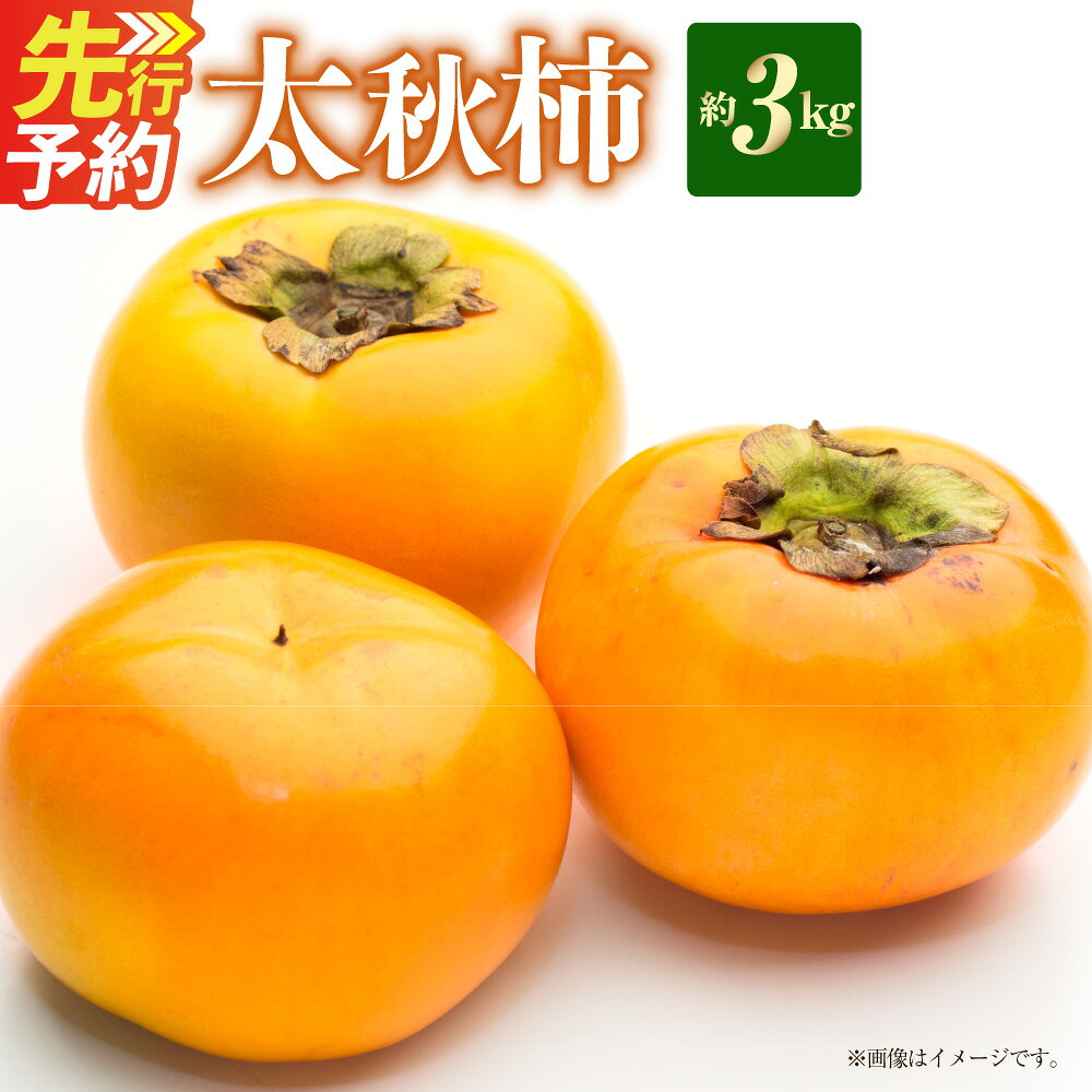 【ふるさと納税】＜ R8年熊本地震復興支援 ＞ 【数量限定】【先行予約】太秋柿 約3kg かき カキ 柿 たいしゅうかき 果物 果実 旬 旬の果物 くだもの フルーツ 熊本県産 国産 熊本県 熊本市 先行予約 送料無料 【2026年10月上旬～11月下旬発送予定】