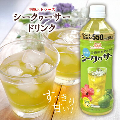 【ふるさと納税】【沖縄ボトラーズ】シークヮーサードリンク　550ml　24本入り 飲料 清涼飲料水 ソフトドリンク フルーツドリンク 飲み物 柑橘類 かんきつ 果汁 シークワーサー シークヮーサー シークアーサー ペットボトル 1ケース 贈答 ギフト プレゼント 贈り物 沖縄