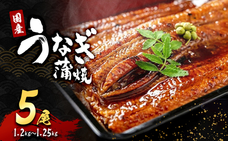うなぎ 国産 蒲焼き 5尾 1.2kg～1.25kg うなぎ