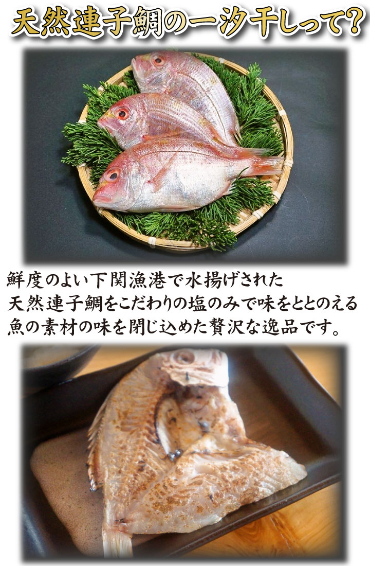 【7営業日以内発送】 天然 連子鯛 一汐干し 3枚 れんこ鯛 レンコダイ 干物 一汐干し 鯛 干物 鯛 開き 天然 連子鯛 国産 白身魚 干物 干物セット 脂のり ふっくら 海鮮 お取り寄せ 日本海産