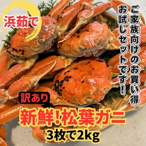 【22017】鳥取網代港【訳あり】浜茹で！松葉ガニ2kgセット※お届けは2026年11月中旬～【さかなや新鮮組】