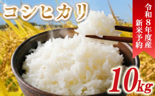 先行予約 令和8年産 新米 米 コシヒカリ 10kg 精米 白米 新米10kg 2026年度 8年産 お米 ご飯 こめ コメ kome ライス こしひかり 20000円 2026年 備蓄 防災 お弁当 産地直送 送料無料 国産 千葉県産 ふるさと納税 千葉県 旭市 小島農園 kjm002