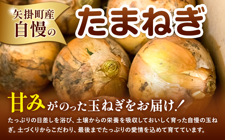 矢掛町産 訳あり 玉ねぎ 約10kg たまねぎ 大きさ不揃い 訳ありたまねぎ《5月末～7月中旬頃に出荷予定》 約 10kg 野菜 岡山県 矢掛町---ofn_ytn_e57_25_9000_10---
