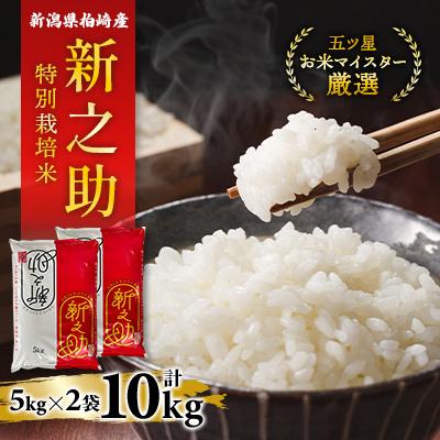 ふるさと納税 柏崎市 【令和7年産】特別栽培米　新潟県柏崎産「新之助」5kg×2袋【五ツ星お米マイスター厳選】白米