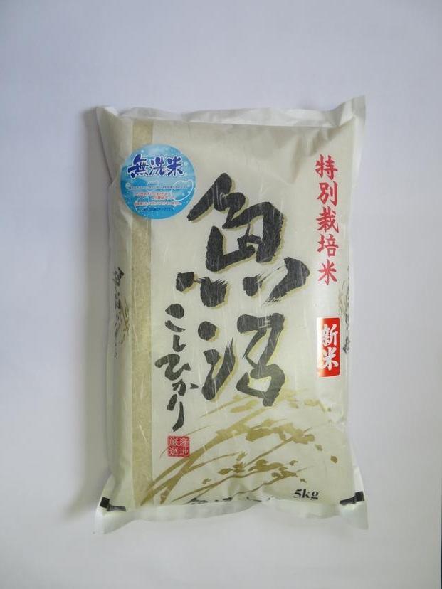 令和7年産先行予約　無洗米　魚沼産コシヒカリ特別栽培米　5kg