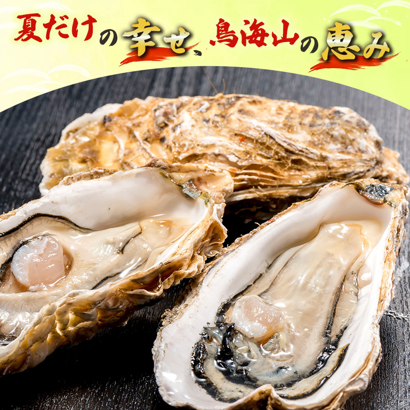 象潟産 天然岩牡蠣 5～6個 ナイフ付【 牡蠣 夏牡蠣 かき 象