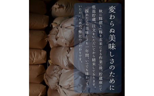 【3ヵ月定期便】八ヶ岳たすき米 コシヒカリ 10kg×1袋　米 白米 精米 ブランド米 おむすび お弁当 仕送りギフト ごはん 国産