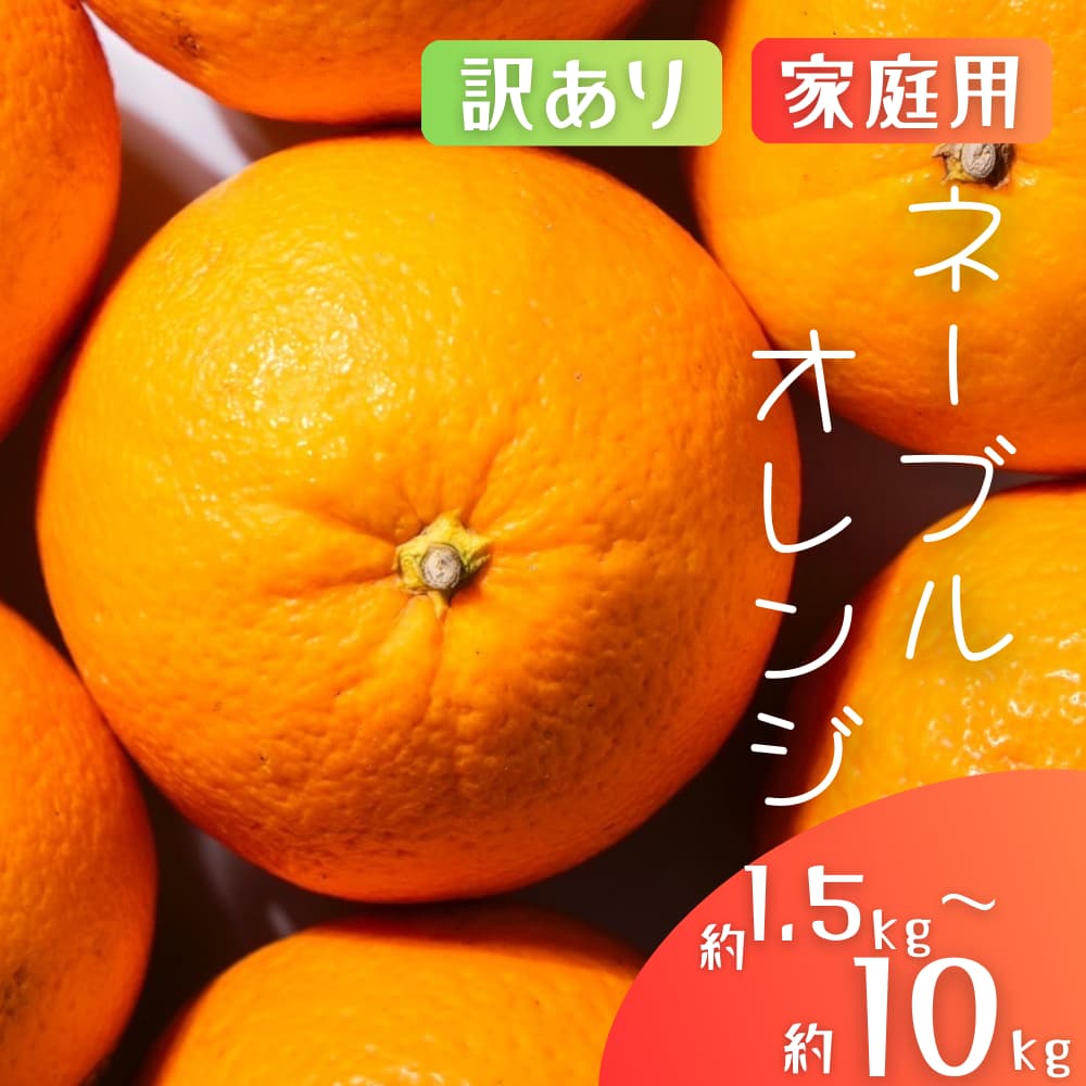 【ふるさと納税】国産 オレンジ 希少 森本農園の手選別 ネーブルオレンジ 【家庭用・訳あり】 約1.5kg / 約2kg / 約4.5kg / 約6kg / 約8kg / 約10kg 和歌山県産 サイズ混合 【北海道・沖縄・離島配送不可】【2026年1月上旬～2月中旬頃に順次発送】