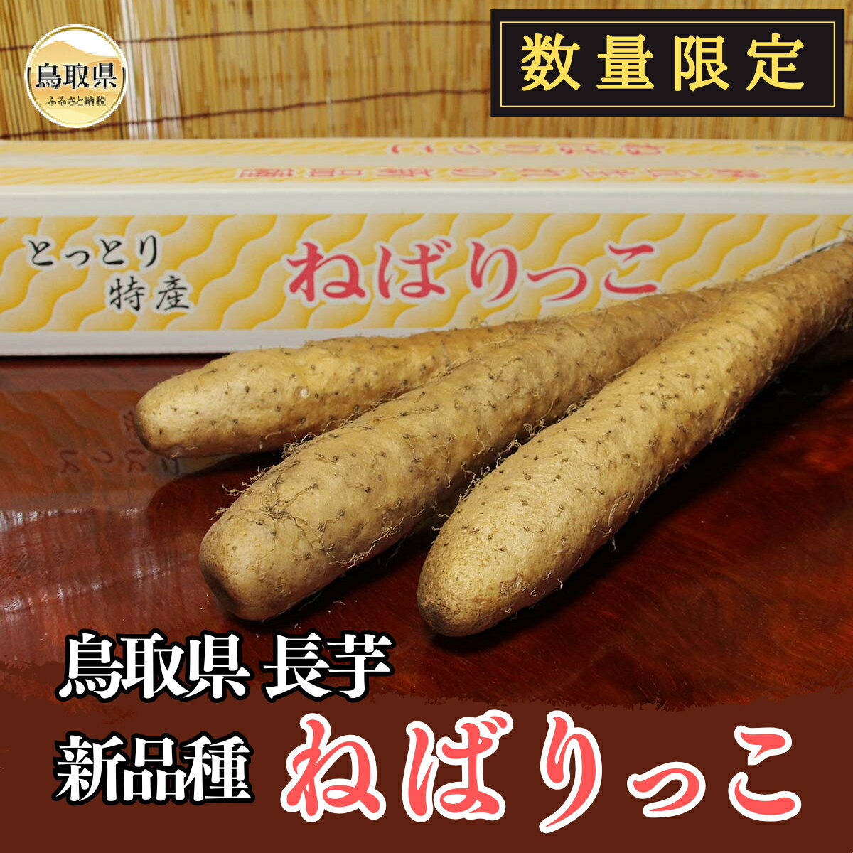 【ふるさと納税】B24-216 ねばりっこ【数量限定】 鳥取県 長芋 ながいも 新品種