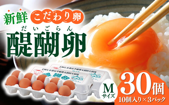 
            【醍醐卵】卵 たまご 岐阜産こだわり産みたて 30個入りMサイズ / 卵 国産 たまご 卵 定期便 玉子 タマゴ 鶏卵 たまごやき 卵かけご飯 卵焼き たまご 岐阜市 / 棚橋ファーム [ANAZ001]
          