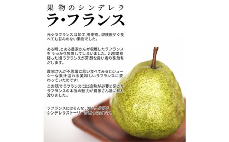 山形県産 秀品 ラ・フランス 3kg なし ナシ 梨 デザート フルーツ 果物 くだもの 果実 食品 山形県 FSY-0454