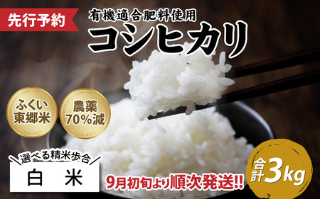 【白米】令和6年産 新米 ふくい東郷米 特別栽培米 農薬70％減 コシヒカリ 3kg[A-020018_01]