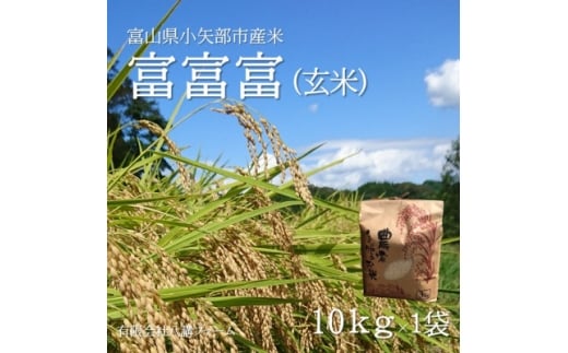 ＜新米先行受付(2025年10月上旬から順次発送)＞令和7年富山県産「富富富」(玄米)10kg×1袋【1656107】