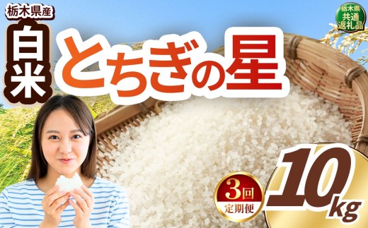 【先行予約】【定期便3回】  令和8年度産 白米 約10kg とちぎの星 |  真岡市産 米  お米 こめ 白米 ご飯 ごはん 大粒 とちぎのほし 限定 ふるさと納税  栃木県 真岡市 送料無料