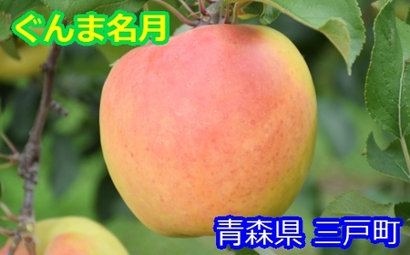 りんご【ぐんま名月】約5kg（12～20玉）【2025年産・先行予約】★2025年11月上旬～12月下旬頃に発送予定★ 青森県三戸町産