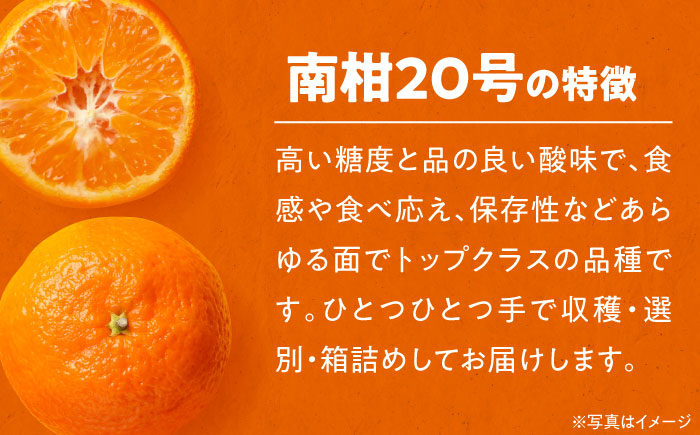 【先行予約】【12月中旬より順次発送】【ちょっと訳あり】温州みかん 愛媛県産 南柑20号 10kg 温州みかん みかん 柑橘 愛媛みかん　愛媛県大洲市/有限会社カーム/カームシトラス [AGBW009