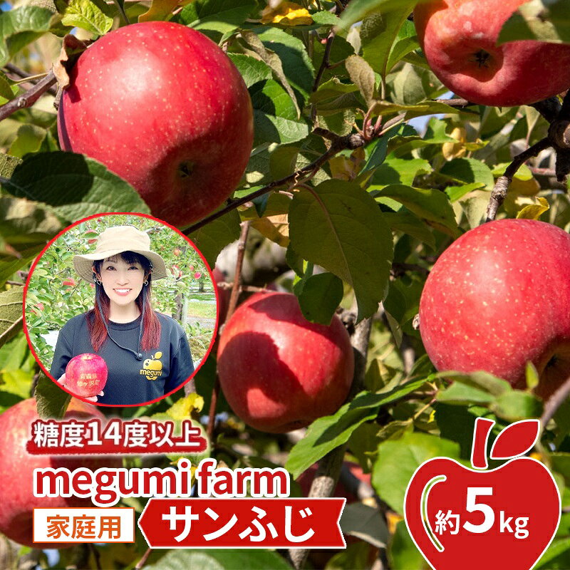 【ふるさと納税】りんご 訳あり 【11月中旬発送】数量限定 約5kg 10玉 16玉 糖度14度以上 保証 家庭用 サンふじ 果物 高糖度 農家直送 megumi farm 簡易包装 サンフジ 青森県 鰺ヶ沢町　お届け：2025年11月20日～2025年12月下旬