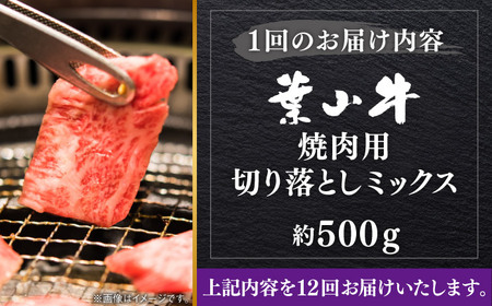 【全12回定期便】【葉山牛】500g　焼肉用ミックス（ロース、モモ、カルビ等） ／ 牛肉 黒毛和牛 神奈川県 特産品【葉山牛ステーキレストラン 角車】[ASBD030]
