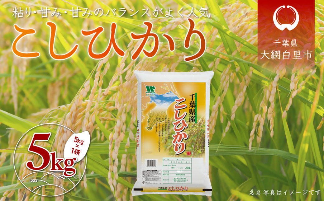 【最短2～7営業日出荷】令和7年産 千葉県産「コシヒカリ」5kg（5kg×1袋） A052
