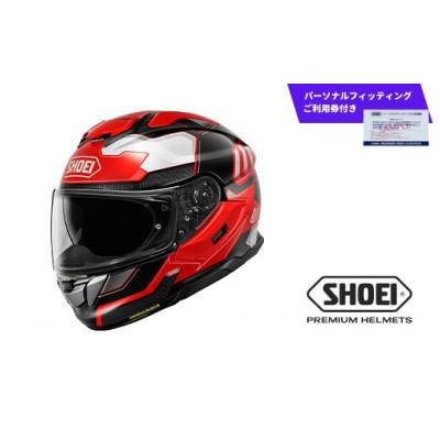 ふるさと納税 一関市 GT-Air3 AGILITY TC-1 RED/BLACK L パーソナルフィッティングご利用券付