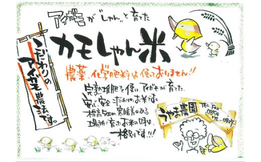 令和6年度島根県産コシヒカリ 「カモしゃん米」（玄米）5kg 【 こしひかりお米 農家直送 無農薬 化学肥料不使用 玄米 安心 安全 新米 令和6年度産 Ａ-151】