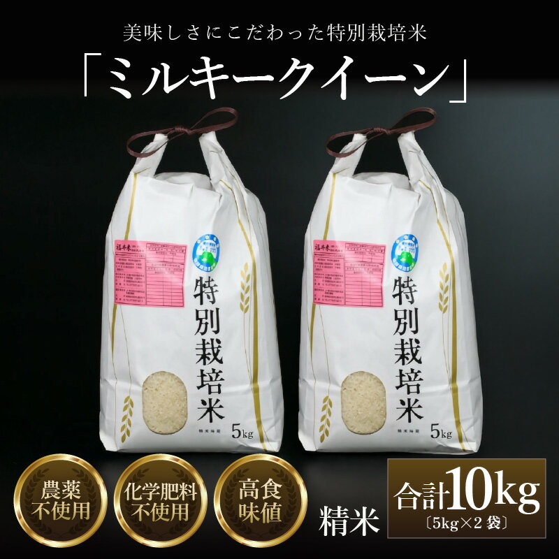 【ふるさと納税】【先行予約】【令和7年産 新米】 ミルキークイーン 精米 5kg×2袋 （計10kg） 特別栽培米 農薬不使用 化学肥料不使用 ／ 高品質 鮮度抜群 福井県産 ブランド米 ※2025年10月上旬以降順次発送