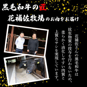  黒毛和牛 牛肉 赤身 焼肉 1kg A5等級 阿波華牛 和牛 ぎゅうにく 牛 ぎゅう うし 肉 ビーフ