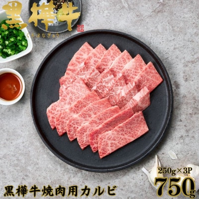 くまもと黒毛和牛 黒樺牛 A4〜A5等級 牛肉カルビ 750g(250g×3)【杉本本店】(美里町)【配送不可地域：離島】【1617812】