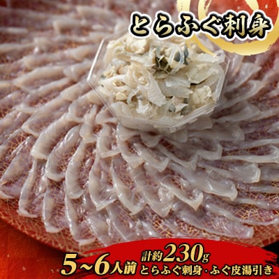 とらふぐ刺身5-6人前【配送不可地域：離島】【1695298】