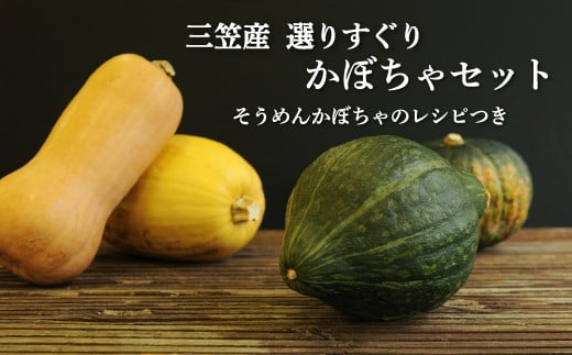 
            《令和7年分》数量限定！三笠市産 選りすぐり かぼちゃセット(配送時期：10月上旬～11月末頃)｜ ふるさと納税 北海道 三笠 かぼちゃ カボチャ 南瓜  野菜 秋野菜 お取り寄せ ワンストップ マイページ 道の駅みかさ農家の店 三笠市【01145】
          