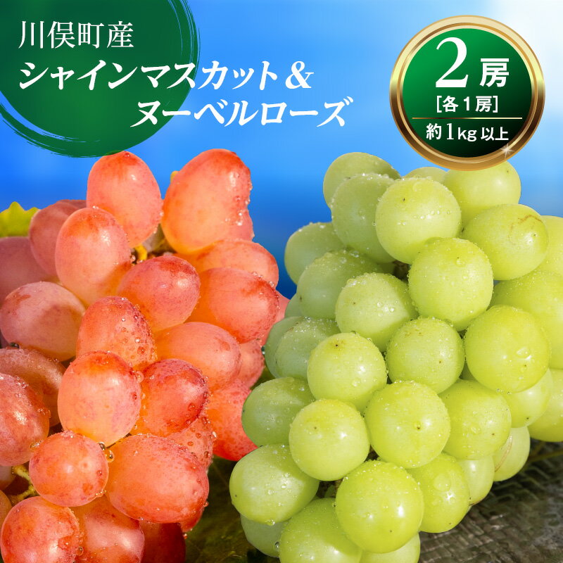 【ふるさと納税】【先行予約】川俣町産 シャインマスカット&ヌーベルローズ 約1kg以上 FAF-0062