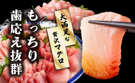OK001-4 本マグロ1kg 岡水産