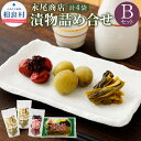 【ふるさと納税】永尾商店 漬物詰め合せ Bセット 3種計4袋セット 上高菜160g×1袋 人吉の焼酎梅250g×2袋 田舎梅干250g×1袋 漬け物 つけもの 冷蔵 国産 送料無料