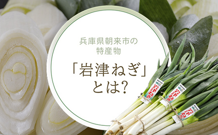 岩津ねぎラー油 【3個セット】 食べるラー油 ご当地 おすそ分け ピリ辛 ご飯のお供 ごま油 道の駅 ネギラー油 辣油 万能調味料 リピーター続出 辛さマイルド アレンジ可能 ラーメン 餃子 冷や奴 