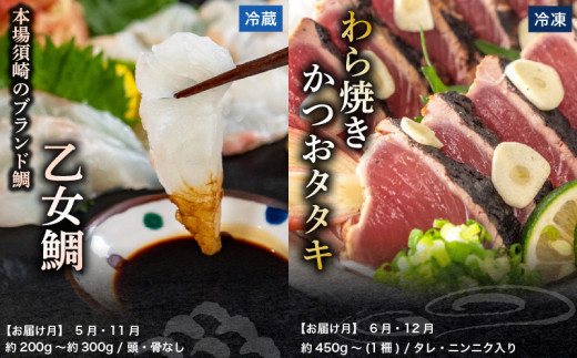 刺身 定期便 6ヶ月 小容量 コース 小島水産 がお届けする！ 美味しい お刺身 ( 鮮魚 下処理済 ) 産地直送 半年 新鮮 6回 （ ブリ かつおタタキ タイ カンパチ 鰤 鰹 真鯛 環八 魚 海