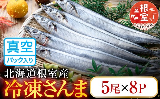 
                  C-36002 【北海道根室産】冷凍さんま40尾
                