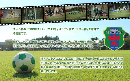 K2604 境トリニタス応援ボックスティッシュ 400枚(200組) × 30箱 日用品 防災 消耗品 必需品 花粉 風邪 ティッシュ ボックス ボックスティッシュ