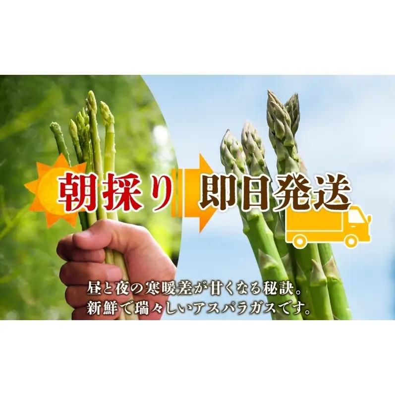 北海道 新しのつ産 夏採れ グリーン アスパラガス 1kg L サイズ 旬 アスパラ 野菜 農作物 朝採れ 新鮮 国産 甘い 人気 お取り寄せ 専用箱 JA新しのつ 送料無料