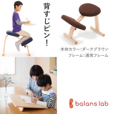 ふるさと納税 美濃市 バランスイージー 通常[ダークブラウン]+イージーライティングボードL【複数個口で配送】 | 