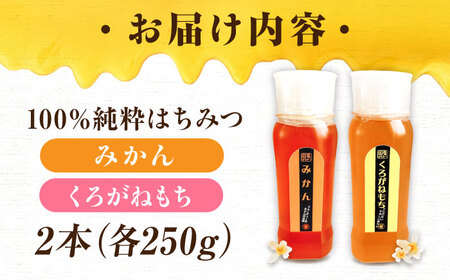手軽に簡単チューブはちみつ（みかん・くろがねもち）各250g 計2本セット 蜂蜜 ハチミツ お取り寄せ グルメ 三次市/重森養蜂場[APBO013]